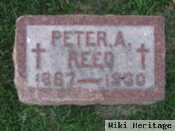 Peter A Reed