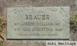 Joseph W Brauer