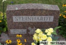 Paul E Steinhardt