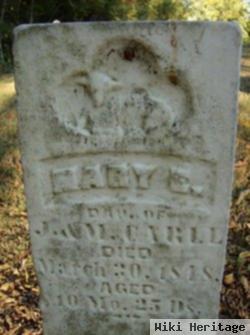 Mary E. Carll