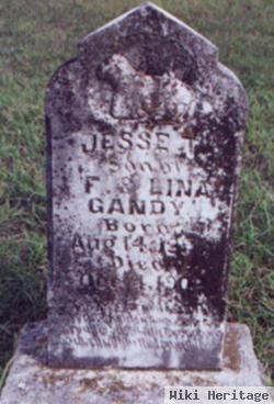 Jesse Terrell Gandy