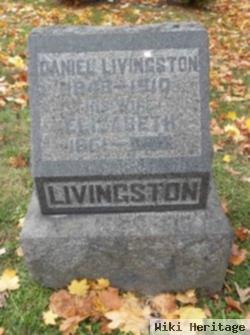 Daniel Livingston