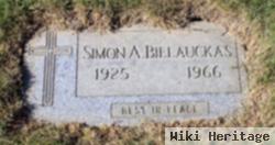 Simon A Bielauckas