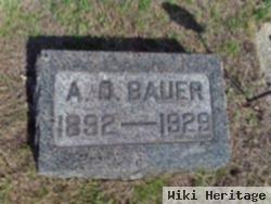 Arthur O Bauer