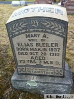 Mary Ann Kepler Bleiler