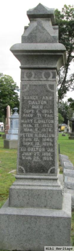 Peter H Dalton