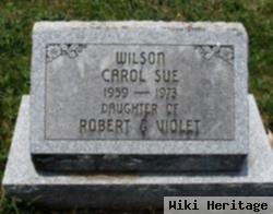 Carol Sue Wilson