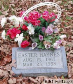 Easter Austin Haynes