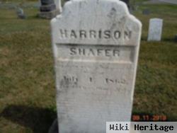 Harrison Shafer