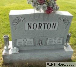 R J Norton