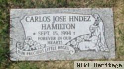 Carlos Jose Hndez Hamilton