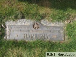 Vera Irene Taylor Harkema