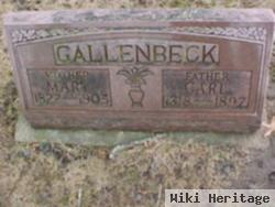 Mary Gallenbeck