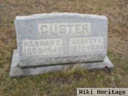 Harvey E Custer