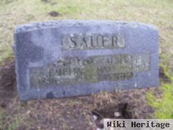 Albert P. Sauer