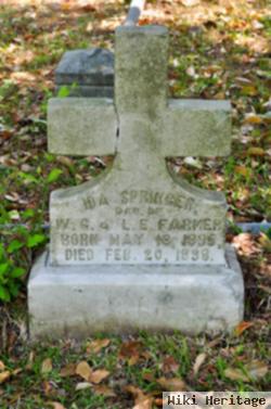 Ida Springer Farmer