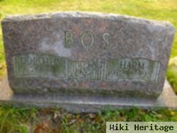 Harm Bos