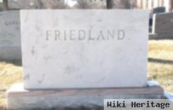 Harry Friedland