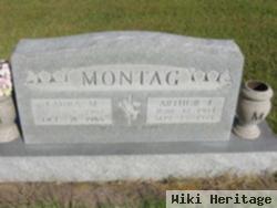 Laura M Moran Montag