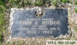 Ross Allen Mudge