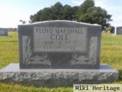 Floyd Marshall Cole