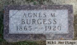 Agnes M. Burgess