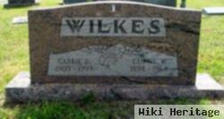 Carrie E. Kelly Wilkes