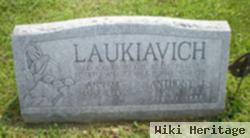 Anthony J. Laukiavich