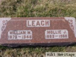 Mollie Jane Hornback Leach