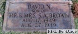 David N. Brown