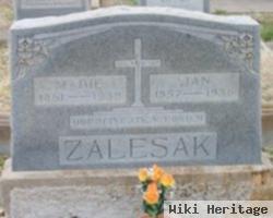 Jan Zalesak