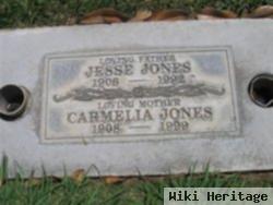 Jesse Pierpont Jones