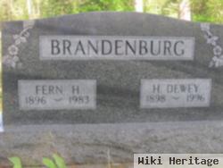 Fern Hyacinth Stewart Brandenburg