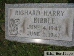 Richard Harry Dibble