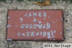 James A Goodwin