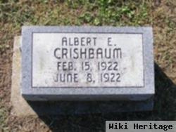 Albert E. Crishbaum