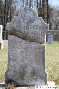 Louis Timothy Anderson