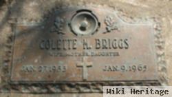 Colette M. Alesch Briggs