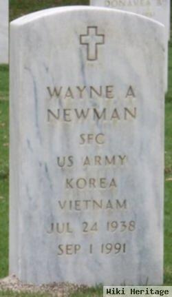 Wayne A Newman