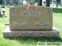 Meta Brick Meints