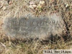 Albert M Peterman