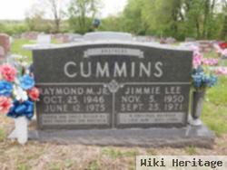 Jimmie Lee Cummins