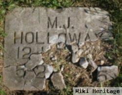 M. J. Holloway