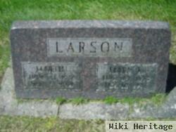 Mary L Larson