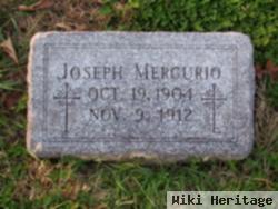 Joseph Mercurio