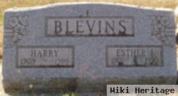 Harry Blevins