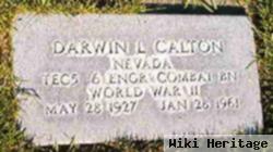 Darwin L Calton