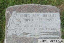 James Borg Merritt