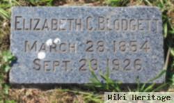 Elizabeth Ellen Sarah Clark Blodgett