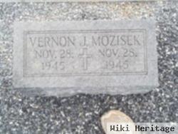 Vernon J Mozisek